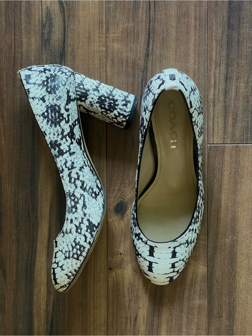 Coach Snake-Print Block Heel Pumps